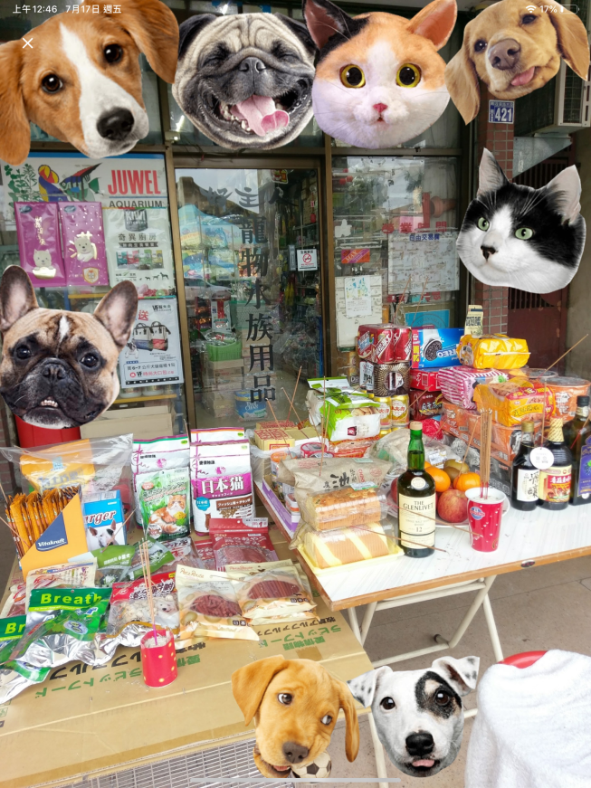 好主人寵物台中元老店