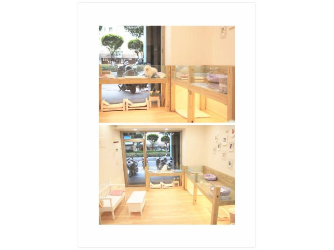 Puppy Time寵物時光