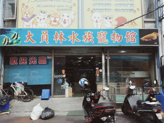 大員林水族寵物館