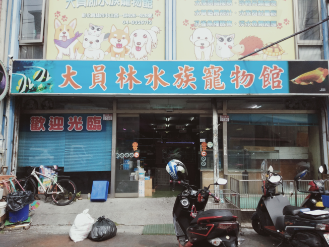 大員林水族寵物館