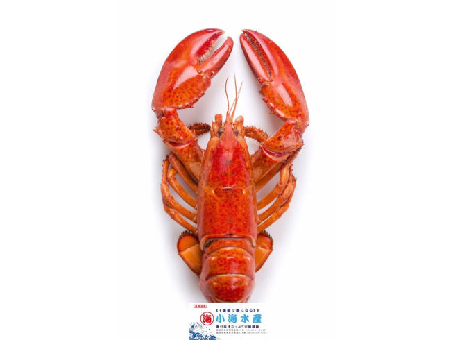 小海水產-永貞店