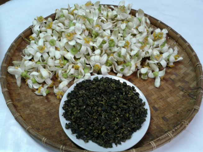 鶴山茶園