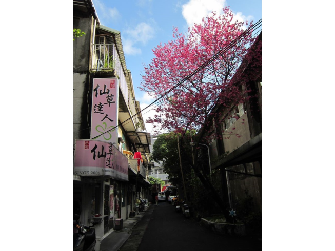 仙草達人.南港