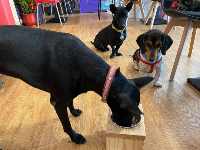 東森崇仁-紫蘿蘭私房生活館