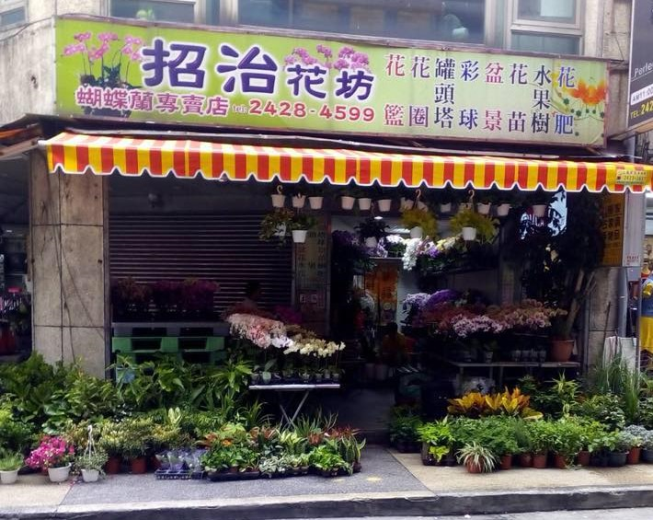 招治花店