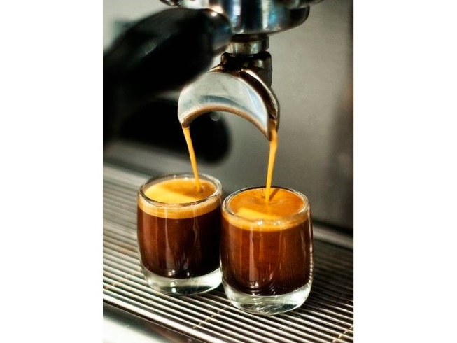 Catamona 卡塔摩納