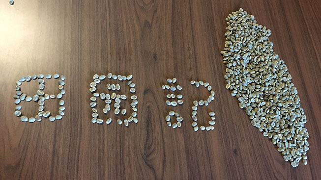 田園記咖啡商行