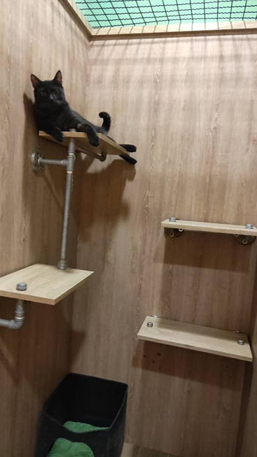 快樂尾巴寵物旅館