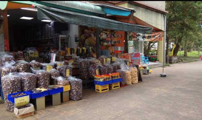 比亞山產靈芝行