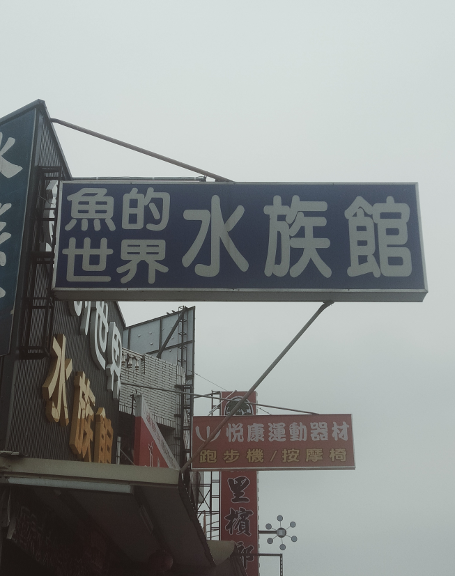 魚的世界水族館