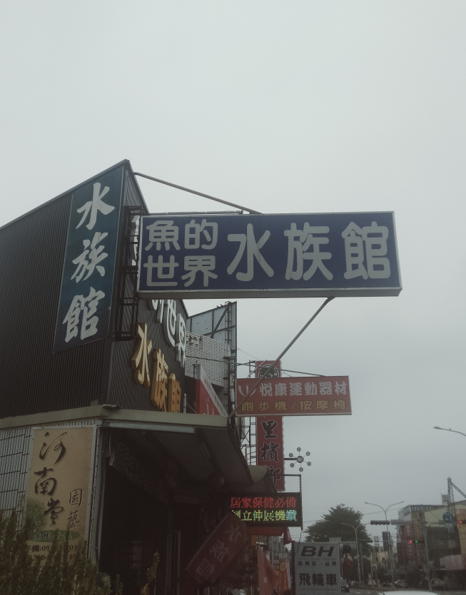 魚的世界水族館