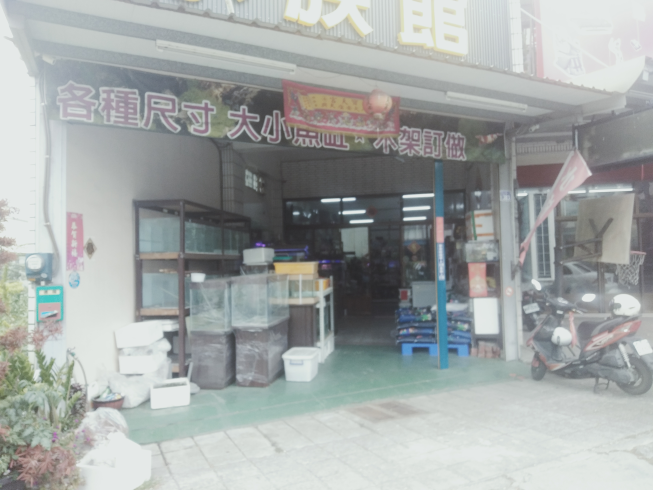 魚的世界水族館