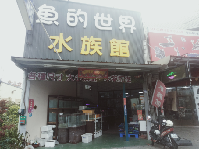 魚的世界水族館