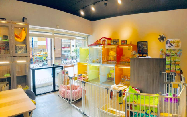 Dog將專業寵物美容