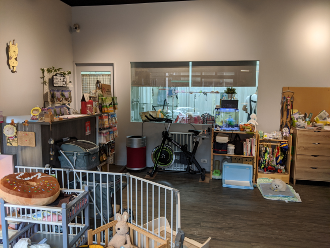 Dog將專業寵物美容