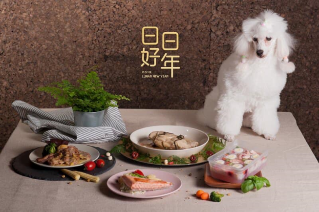 Dog將專業寵物美容
