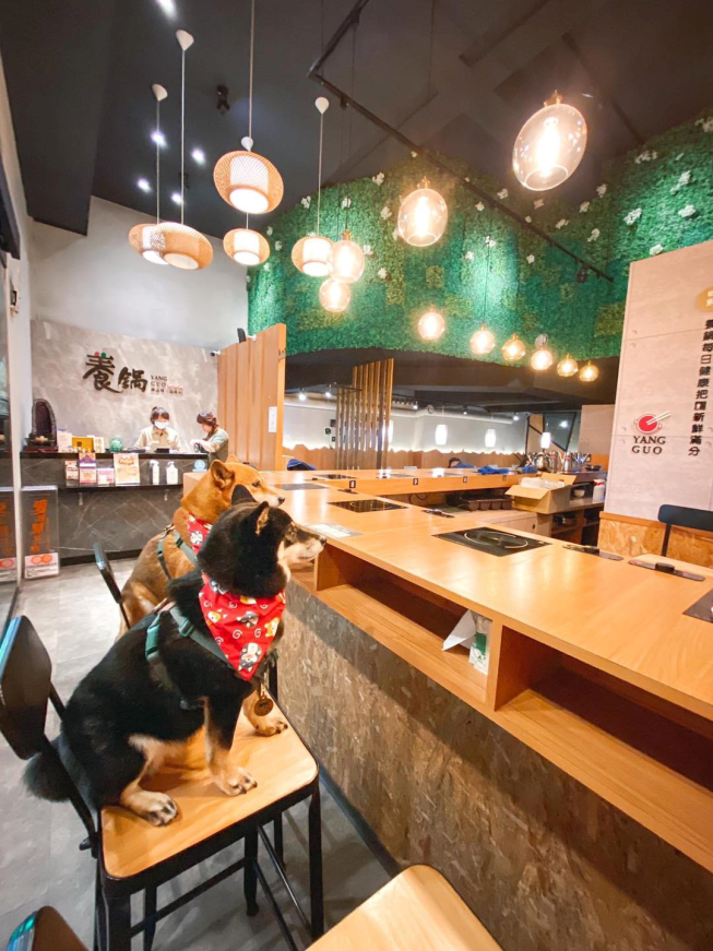 養鍋石頭涮涮鍋-北屯文心店