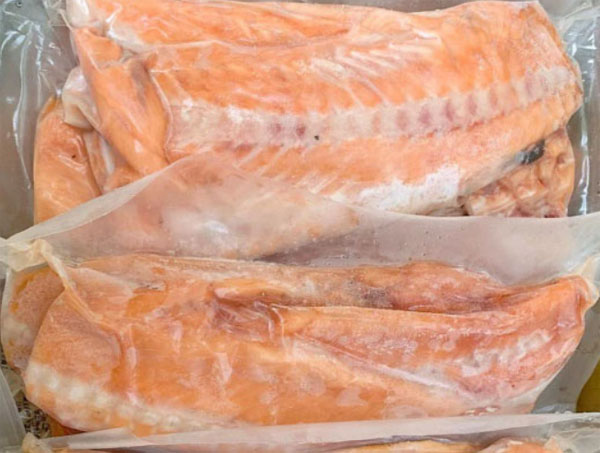 A20.鮭魚骨