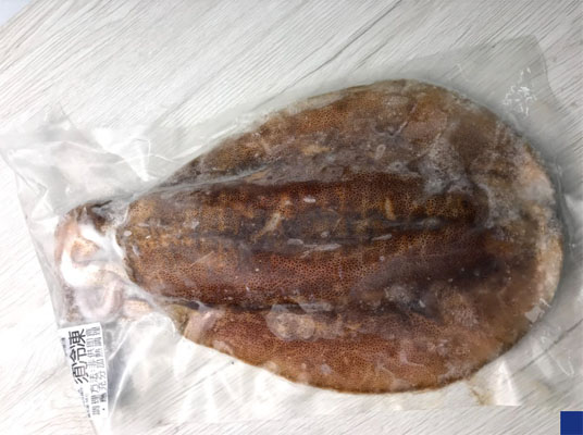 A10.巨無霸大軟絲(50cm)