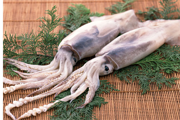 A11.烤魷魚(烤熟，有醬料)